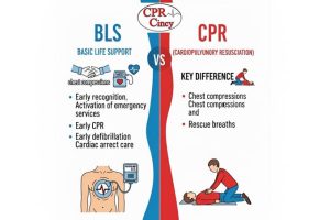 BLS Certification Explained: What Healthcare Providers Learn That Standard CPR Courses Skip